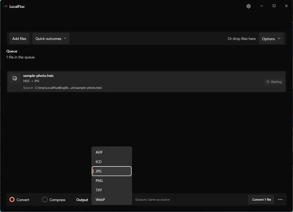 The LocalFlux output menu for a HEIC source, showing JPG, PNG, TIFF, WebP, and ICO.