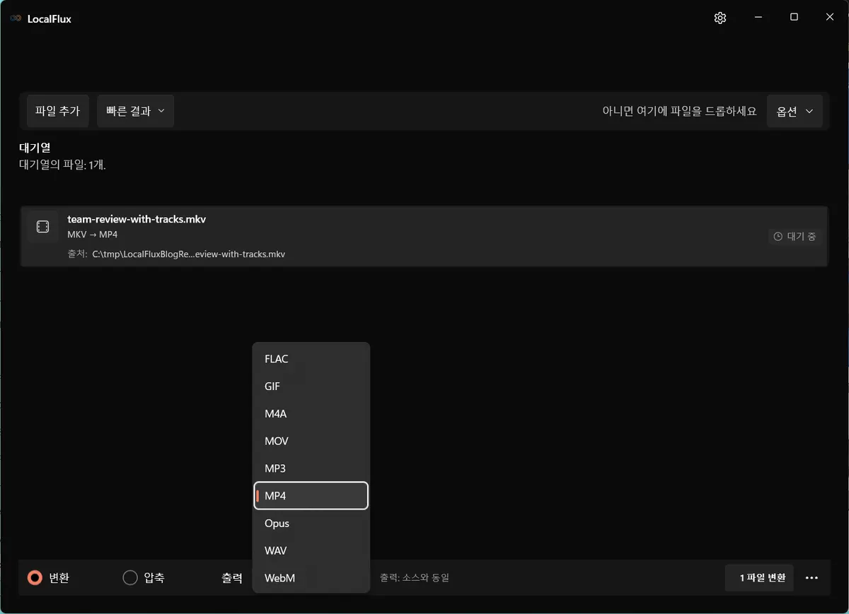MKV 변환용으로 MP4가 선택된 LocalFlux 출력 메뉴