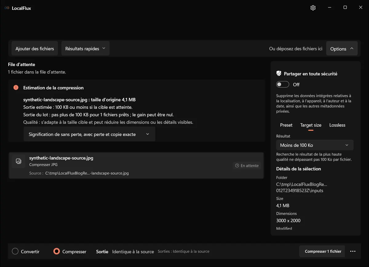 Options de taille cible LocalFlux avec Moins de 100 Ko sélectionné.
