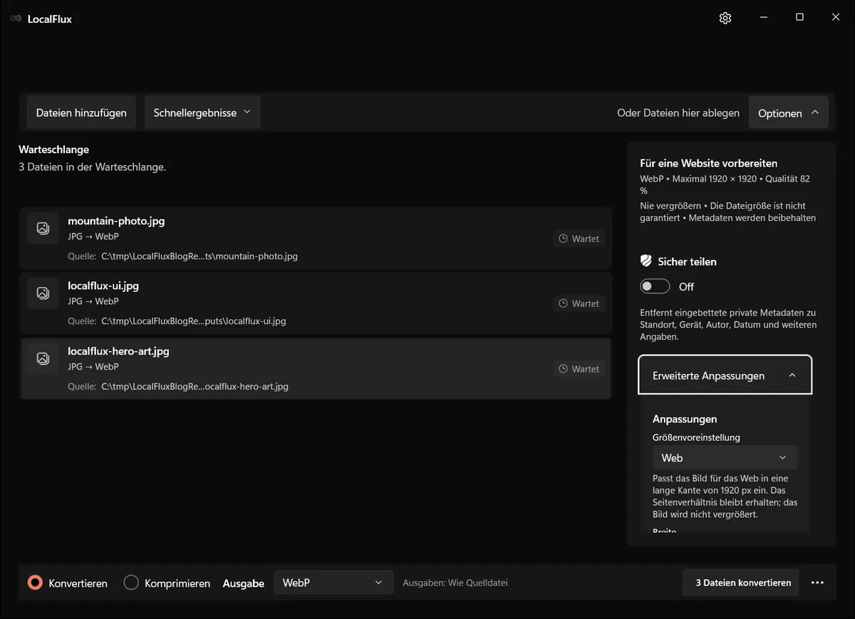 Die Optionen zeigen die Website-Zusammenfassung und die erweiterten Anpassungen.