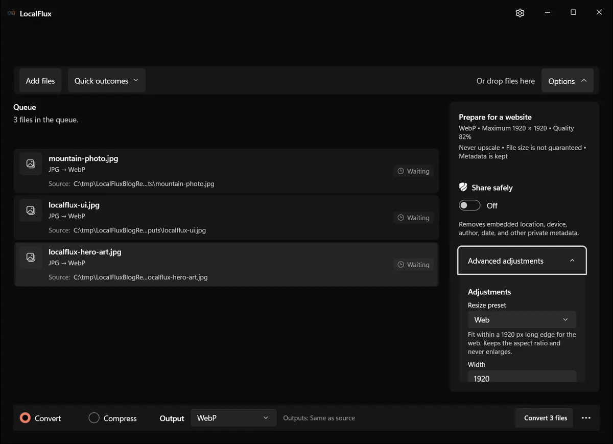 LocalFlux Options shows the website outcome summary and expanded advanced adjustments.