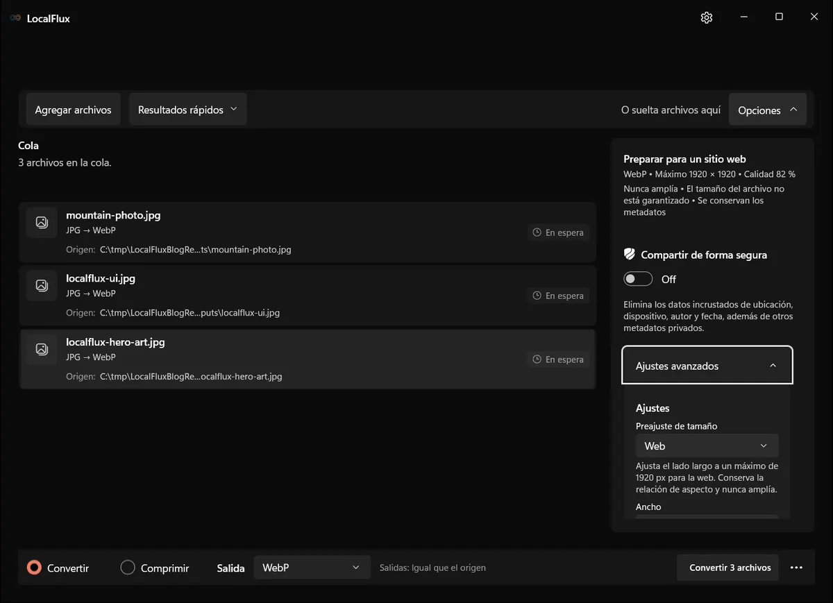 Las opciones muestran el resumen para sitios web y los ajustes avanzados desplegados.