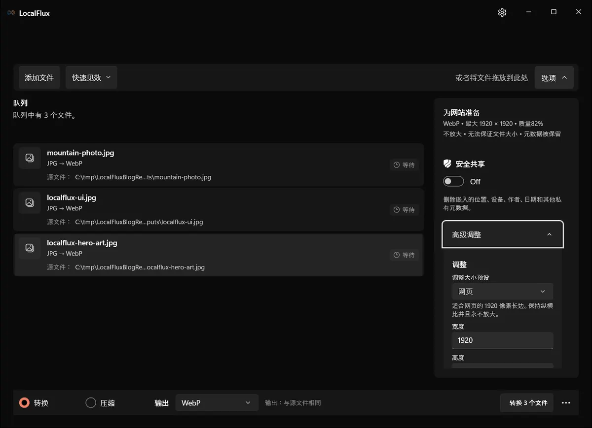选项面板显示网站设置摘要和展开的高级调整。