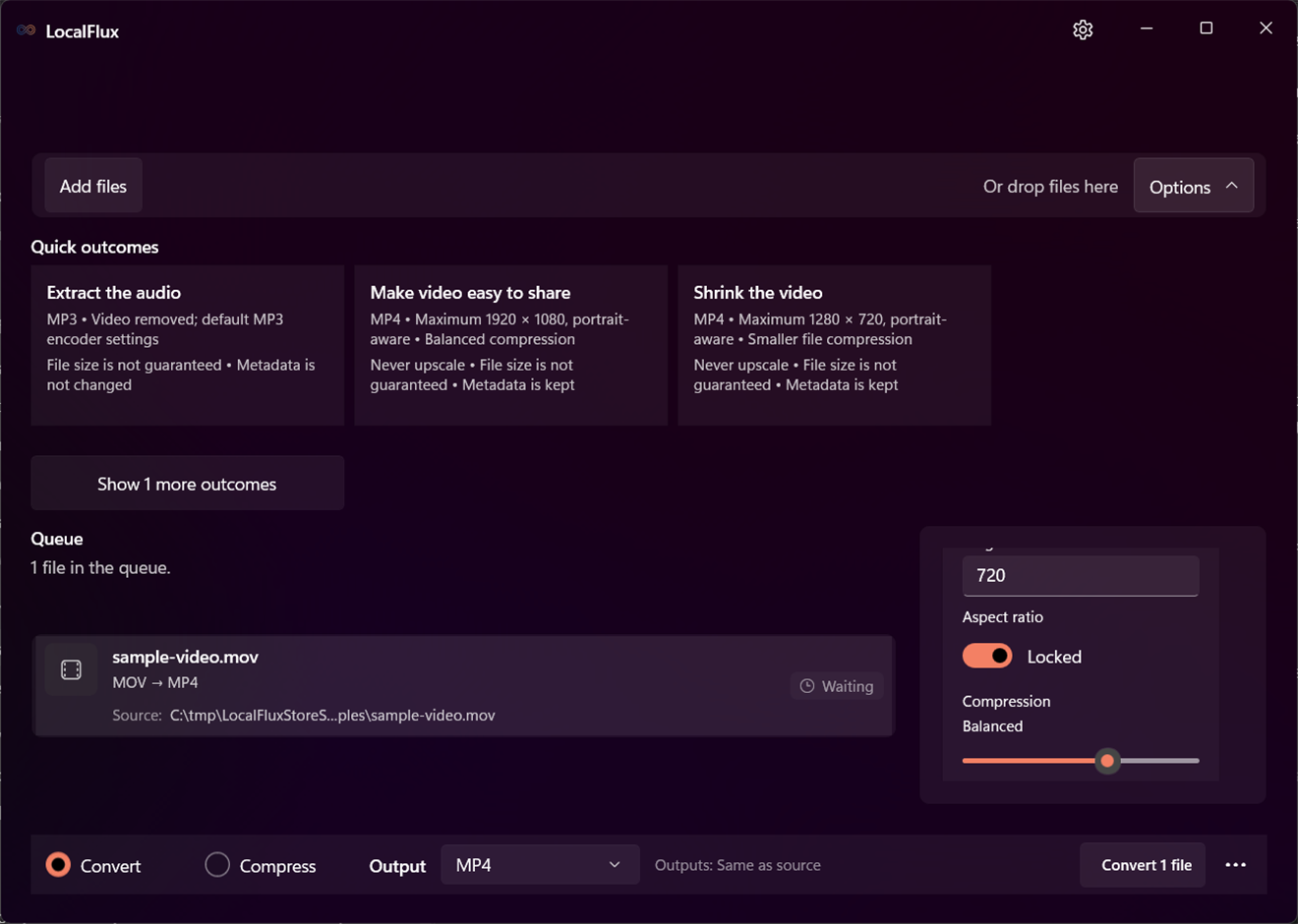Supported conversions run locally after Store setup. The ordinary workflow stays short and keeps the result explicit.